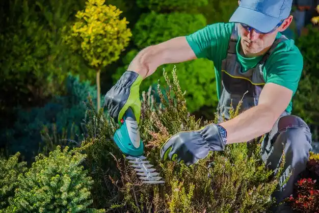 landscaping services Lake Carmel